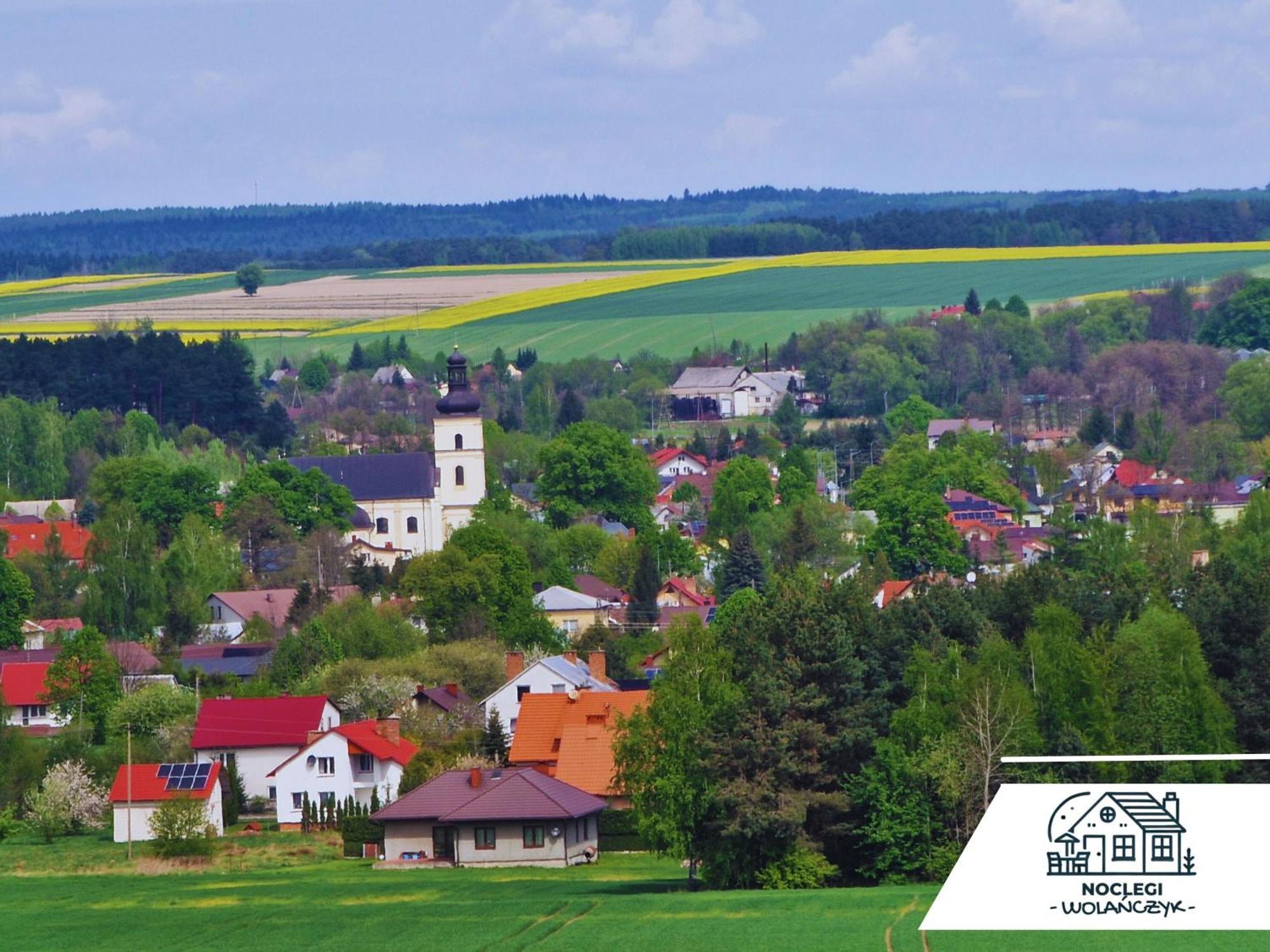 Wola Wielka - Domki Wygoda Nr2 Narol Exterior foto